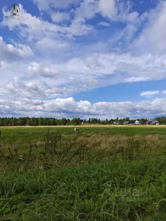 Участок в Ленинградская область, Тосненский район, Рябовское городское ... - Фото 1