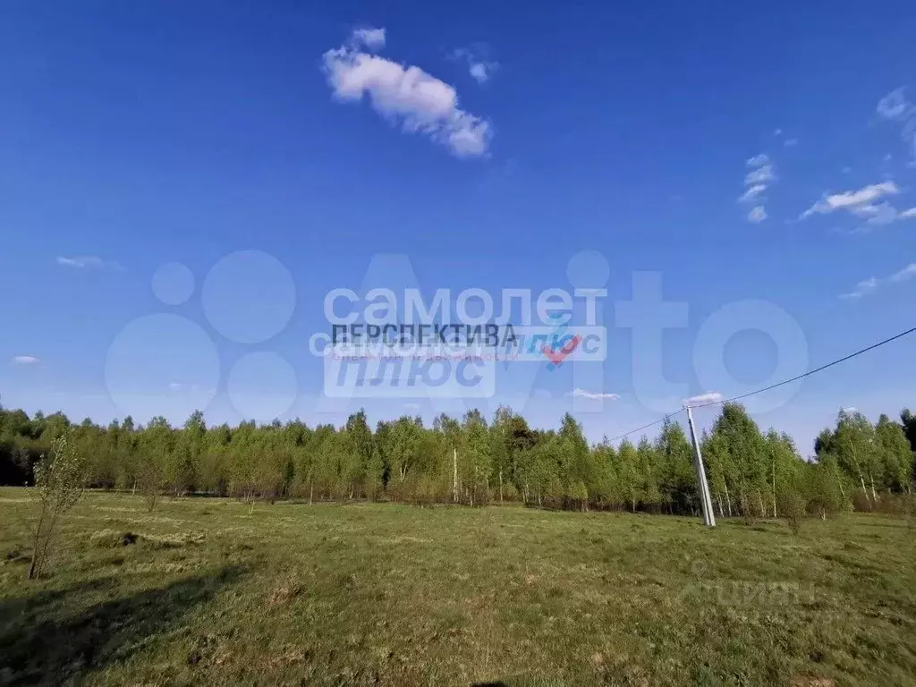 Участок в Калужская область, Калуга городской округ, с. Рябинки 8 ... - Фото 0