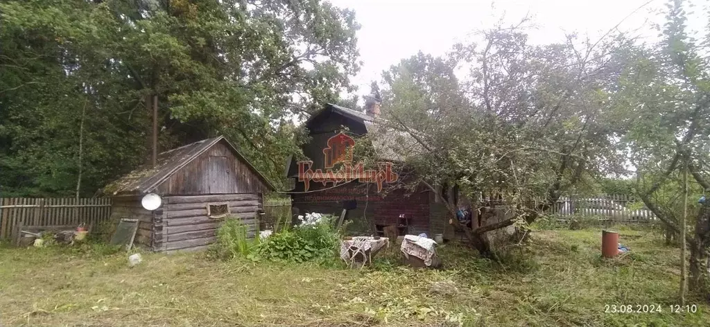 Дом в Владимирская область, Александровский район, Андреевское ... - Фото 1