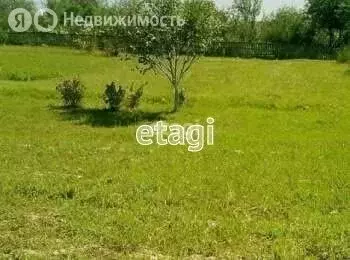 Участок в Тюменская область, Ялуторовск (6 м) - Фото 1