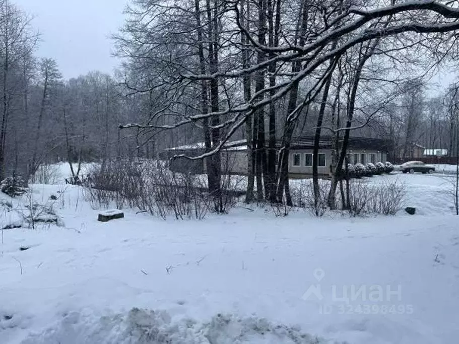Участок в Санкт-Петербург, Санкт-Петербург, Зеленогорск Вокзальная ... - Фото 2