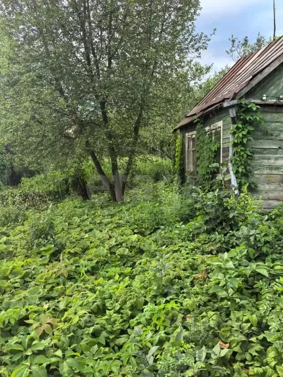 Участок в Москва Дружный СНТ, 92 (8.15 сот.) - Фото 0