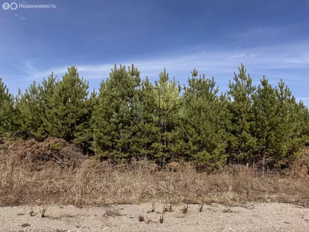 Участок в деревня Карлук, улица Валентина Распутина (12 м) - Фото 0