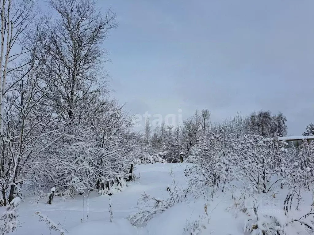 Участок в Вологодская область, Междуреченский муниципальный округ, д. ... - Фото 1