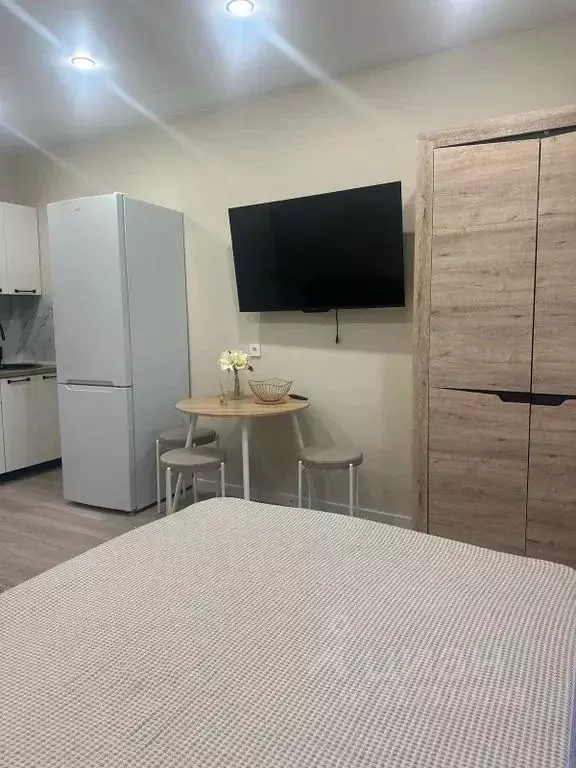 Студия Краснодарский край, Сочи ул. Искры, 88к3 (25.0 м) - Фото 1