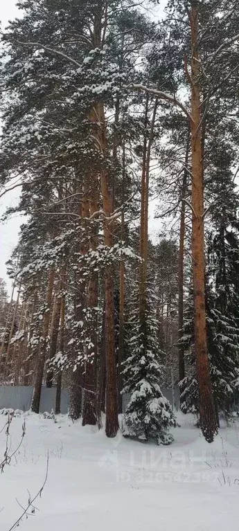 Участок в Свердловская область, Екатеринбург ул. Григория Александрова ... - Фото 2