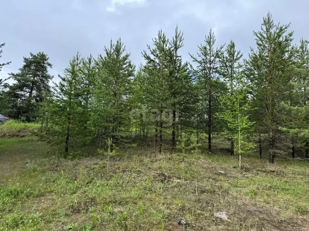 Участок в Коми, Сосногорск муниципальный округ, Сосногорск ... - Фото 0