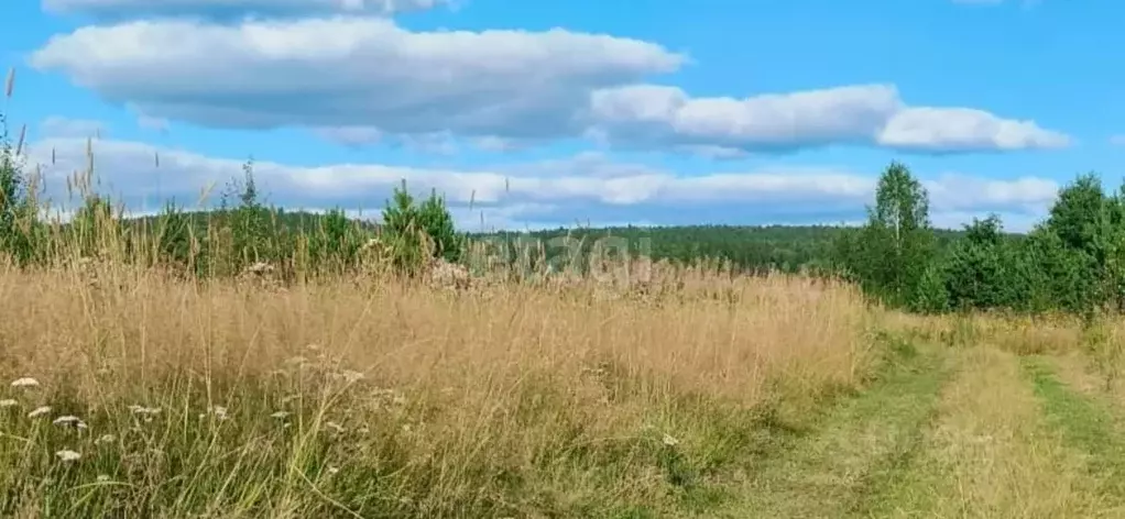 Участок в Свердловская область, Нижний Тагил  (15.0 сот.) - Фото 0