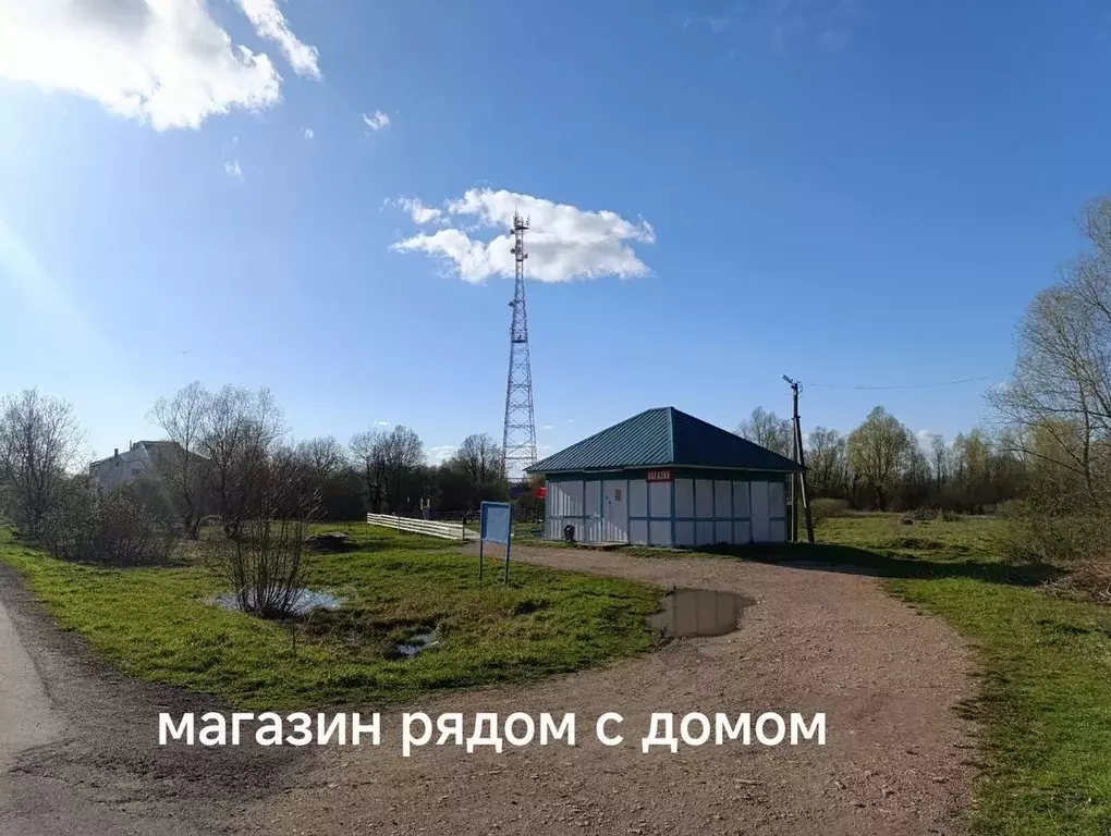 1-к кв. Новгородская область, Солецкий муниципальный округ, д. Выбити ... - Фото 2
