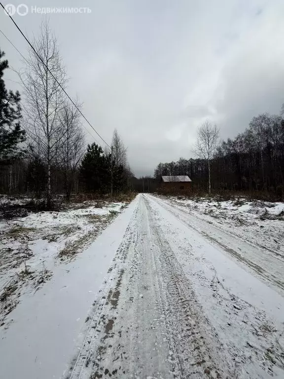 Участок в городской округ Владимир, деревня Никулино, Извилистая улица ... - Фото 1