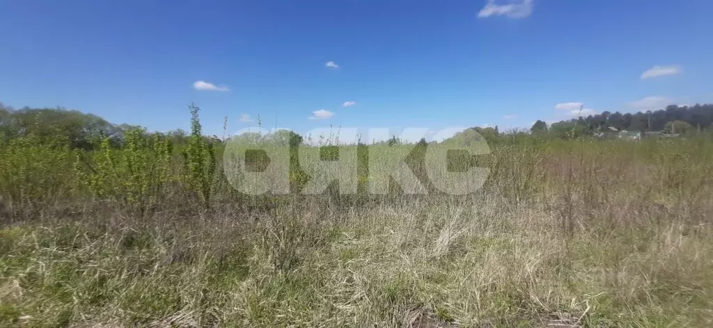 Участок в Московская область, Коломна городской округ, с. Черкизово  ... - Фото 1