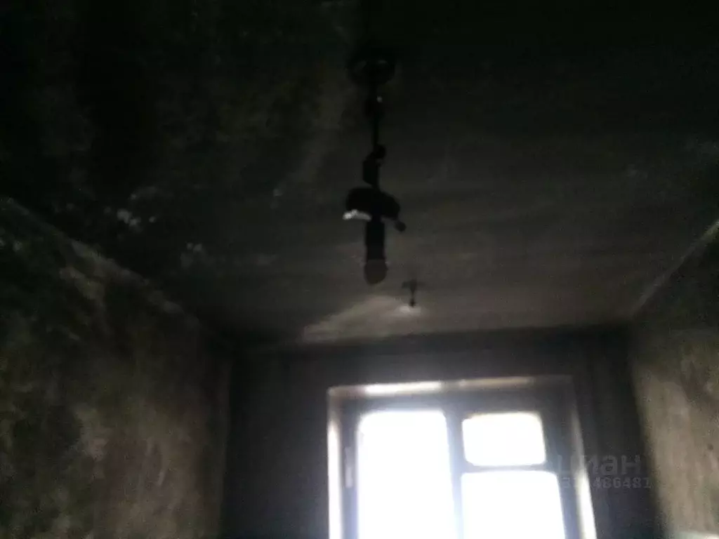 Помещение свободного назначения в Свердловская область, Екатеринбург ... - Фото 1