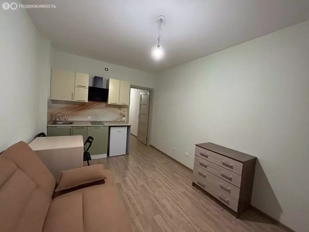 Квартира-студия: Санкт-Петербург, проспект Ветеранов, 171к5 (23.5 м) - Фото 1