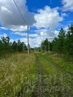 Участок в Тюменская область, Нижнетавдинский муниципальный округ, с. ... - Фото 1