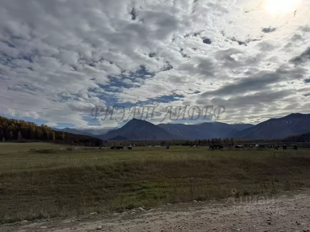 Участок в Алтай, Усть-Канский район, с. Усть-Кан  (22.0 сот.) - Фото 1