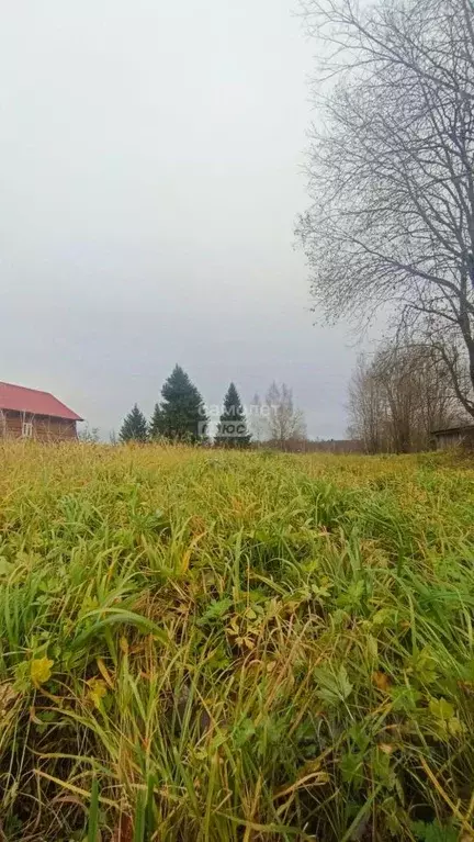 Участок в Московская область, Клин городской округ, д. Языково 21 ... - Фото 1