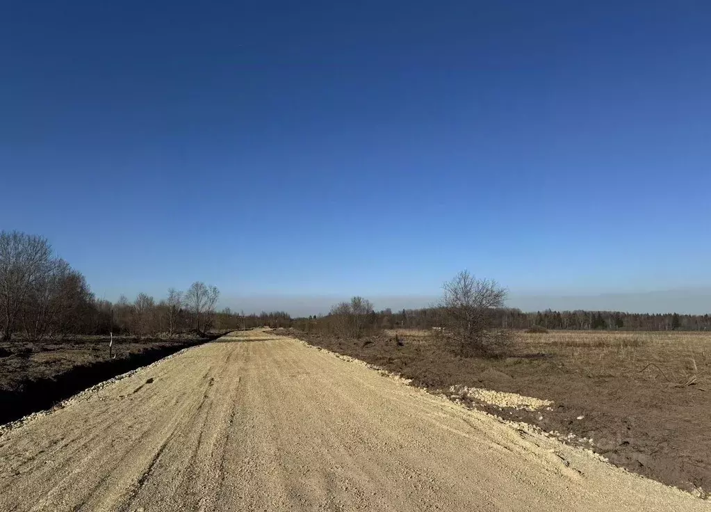 Участок в Ленинградская область, Тосненское городское поселение, д. ... - Фото 2