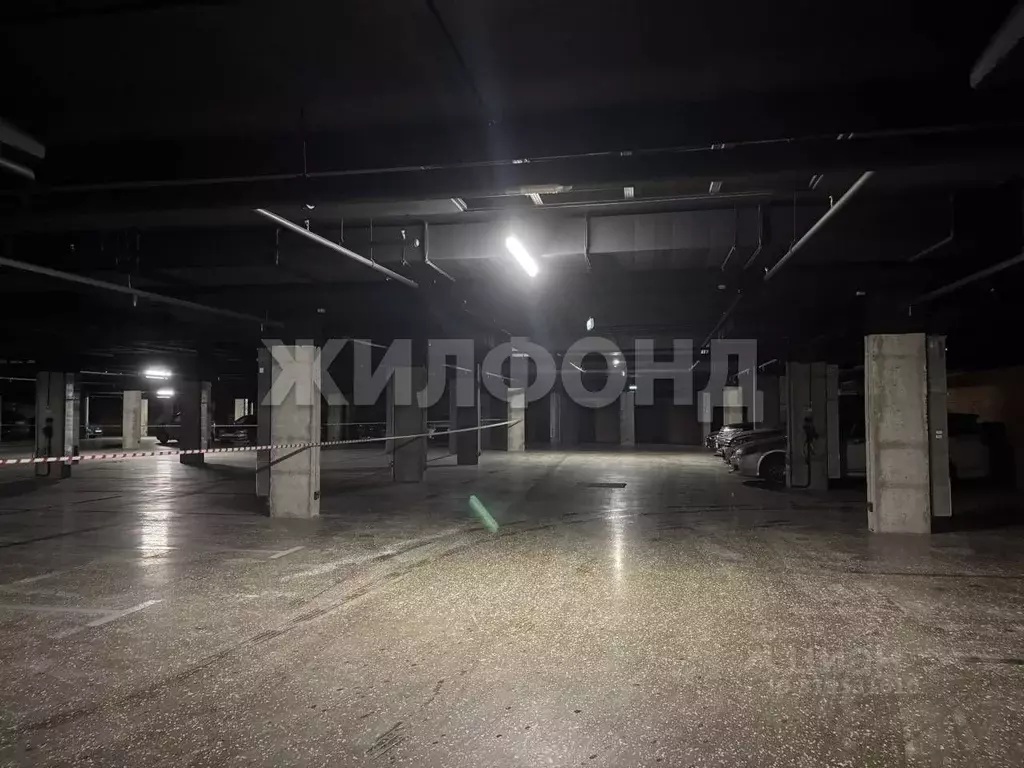 Гараж в Новосибирская область, Новосибирск ул. Семьи Шамшиных, 93 (18 ... - Фото 1