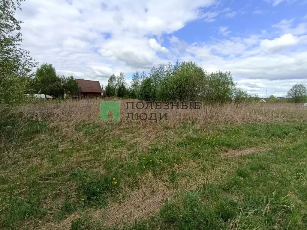 сосновка 10. днп вьюн спрингс. сосновка 10. сосновка камчатский край. сосновка 10.