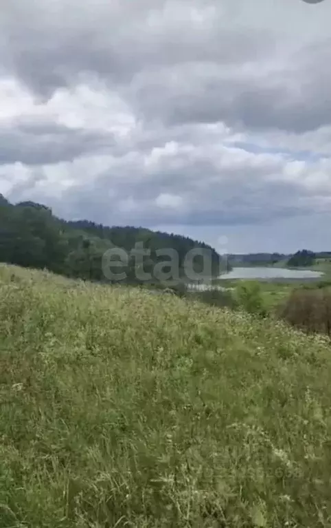 Участок в Псковская область, Печорский муниципальный округ, д. ... - Фото 2