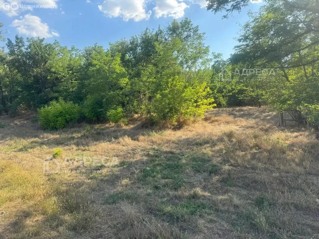 Участок в село Александровка, Октябрьская улица, 67 (42 м) - Фото 1