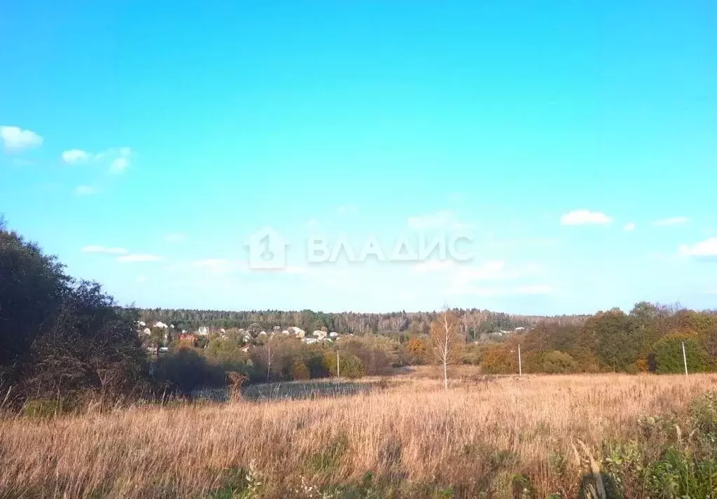 Участок в Калужская область, Жуковский район, Истье с/пос, д. Чериково ... - Фото 2