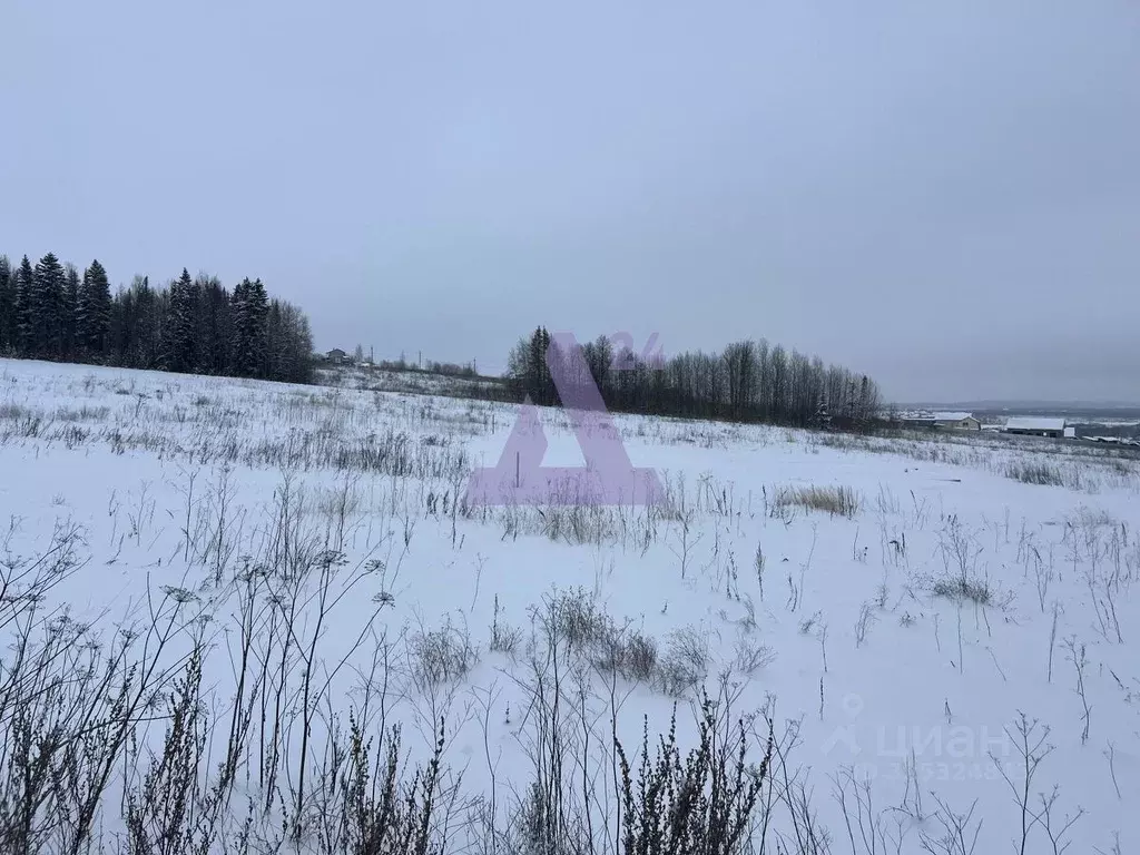 Участок в Пермский край, Пермский муниципальный округ, Придорожный ... - Фото 1