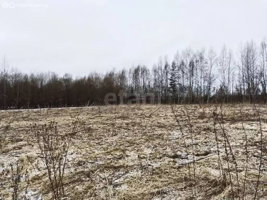 Участок в Тверская область, Кимрский муниципальный округ, деревня ... - Фото 1