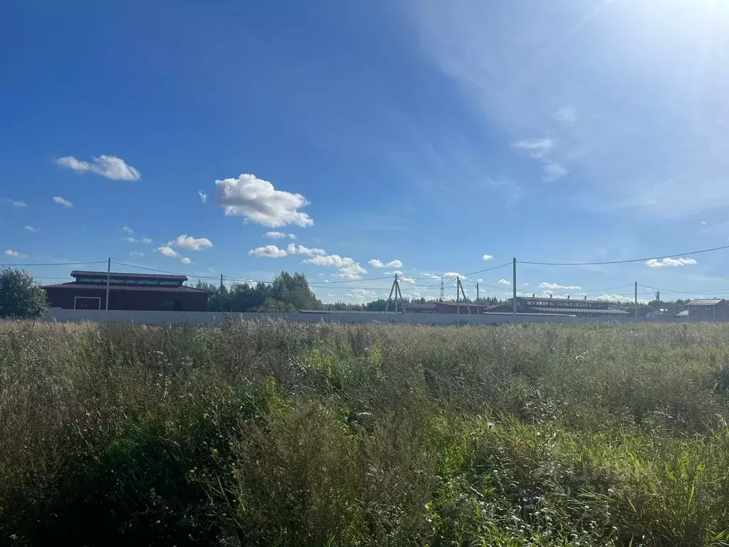 Участок в Ленинградская область, Ломоносовский район, Горбунковское ... - Фото 2