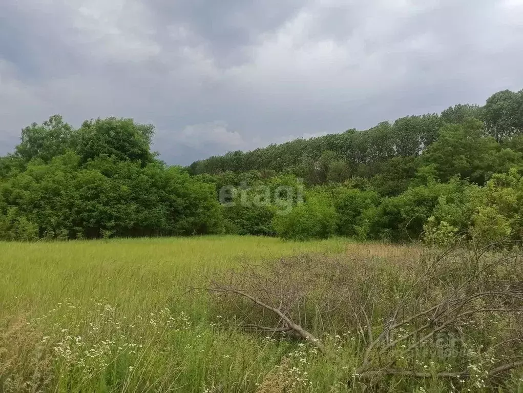 Участок в Белгородская область, Белгород Ремонтник дп,  (5.0 сот.) - Фото 0