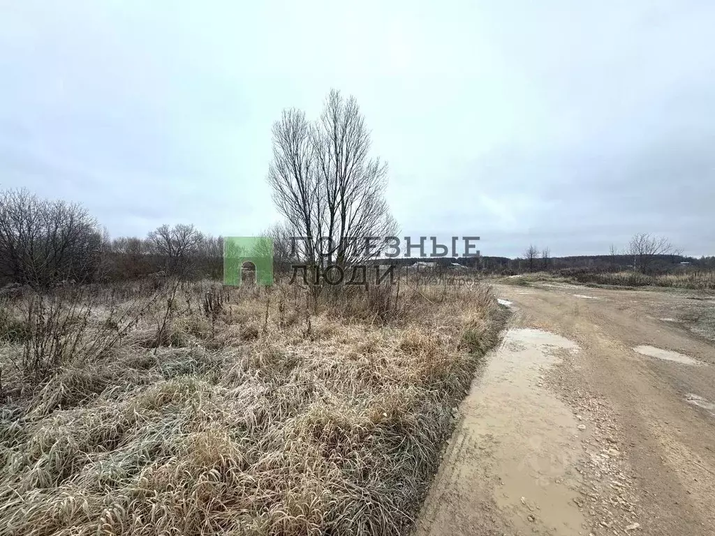 Участок в Орловская область, Орловский муниципальный округ, д. ... - Фото 2