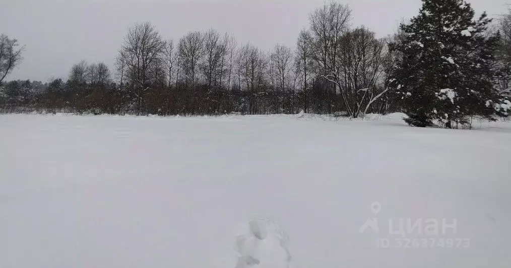 Участок в Московская область, Орехово-Зуевский городской округ, д. ... - Фото 1