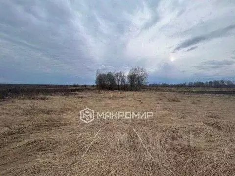 Участок в Брянская область, Брянский район, с. Глинищево  (10.37 сот.) - Фото 0