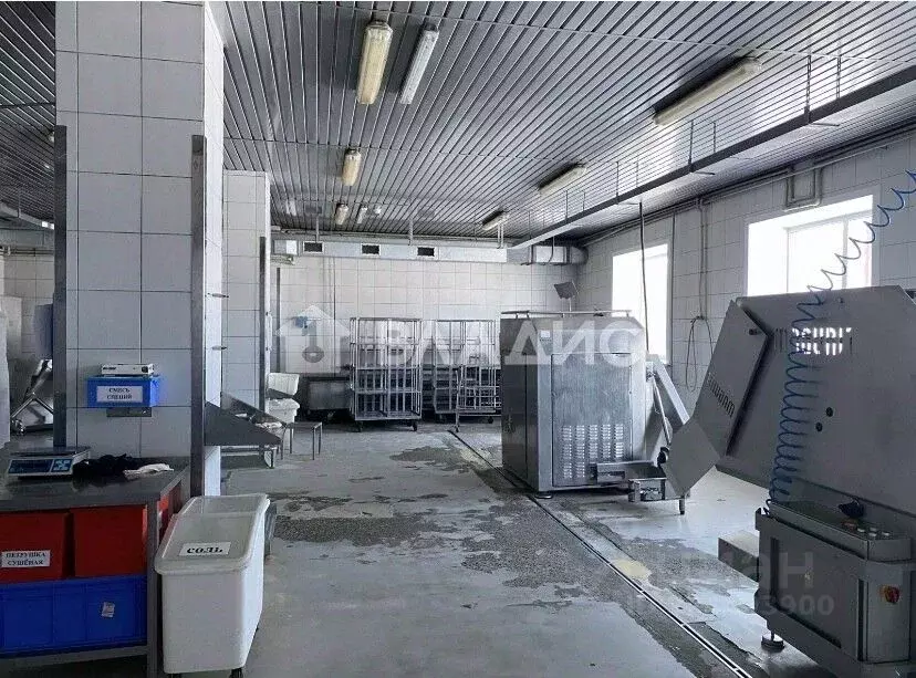 Помещение свободного назначения в Алтайский край, Бийск ... - Фото 2