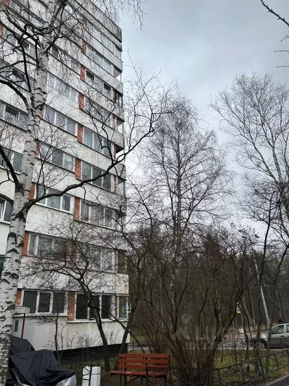 1-к кв. Санкт-Петербург ул. Козлова, 25К1 (32.5 м) - Фото 2