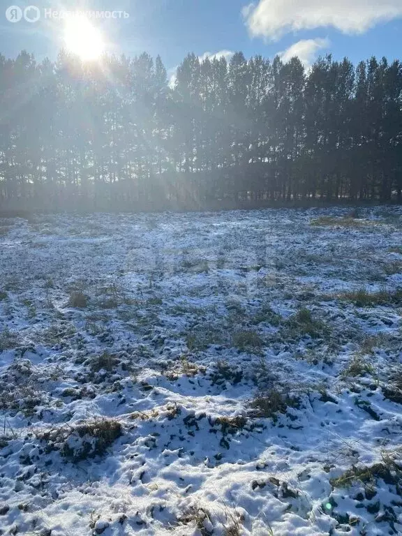 Участок в Тарский район, Заливинское сельское поселение, деревня ... - Фото 2