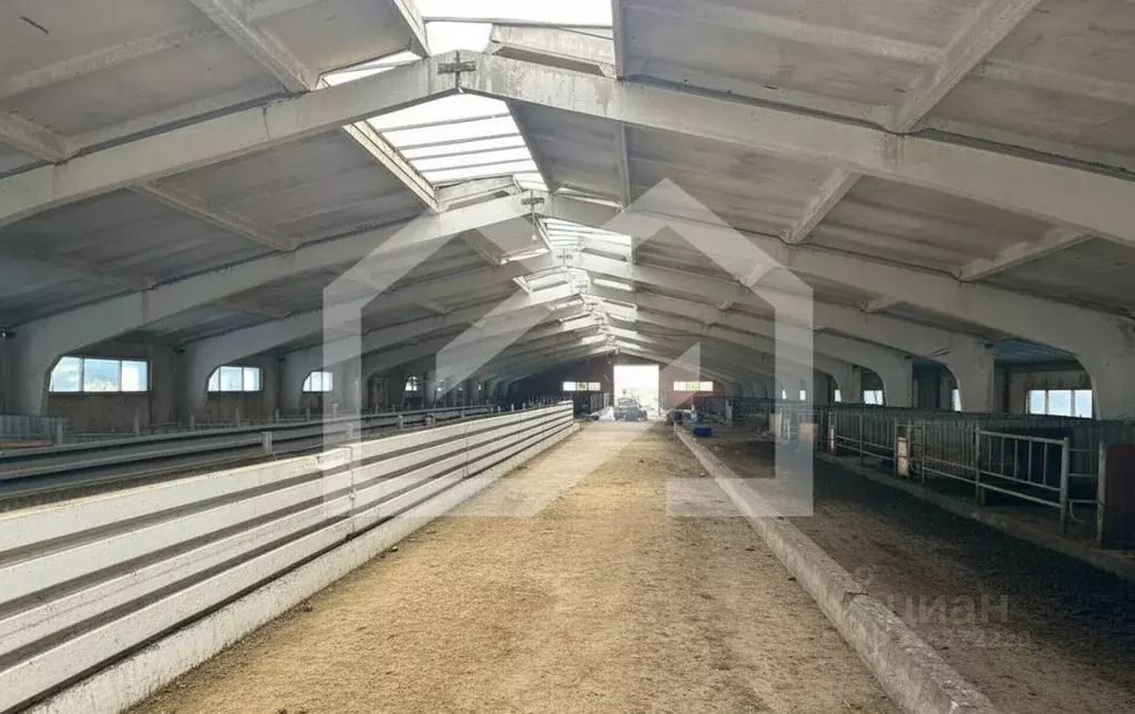 Склад в Московская область, Талдомский городской округ, д. Кутачи 34 ... - Фото 2