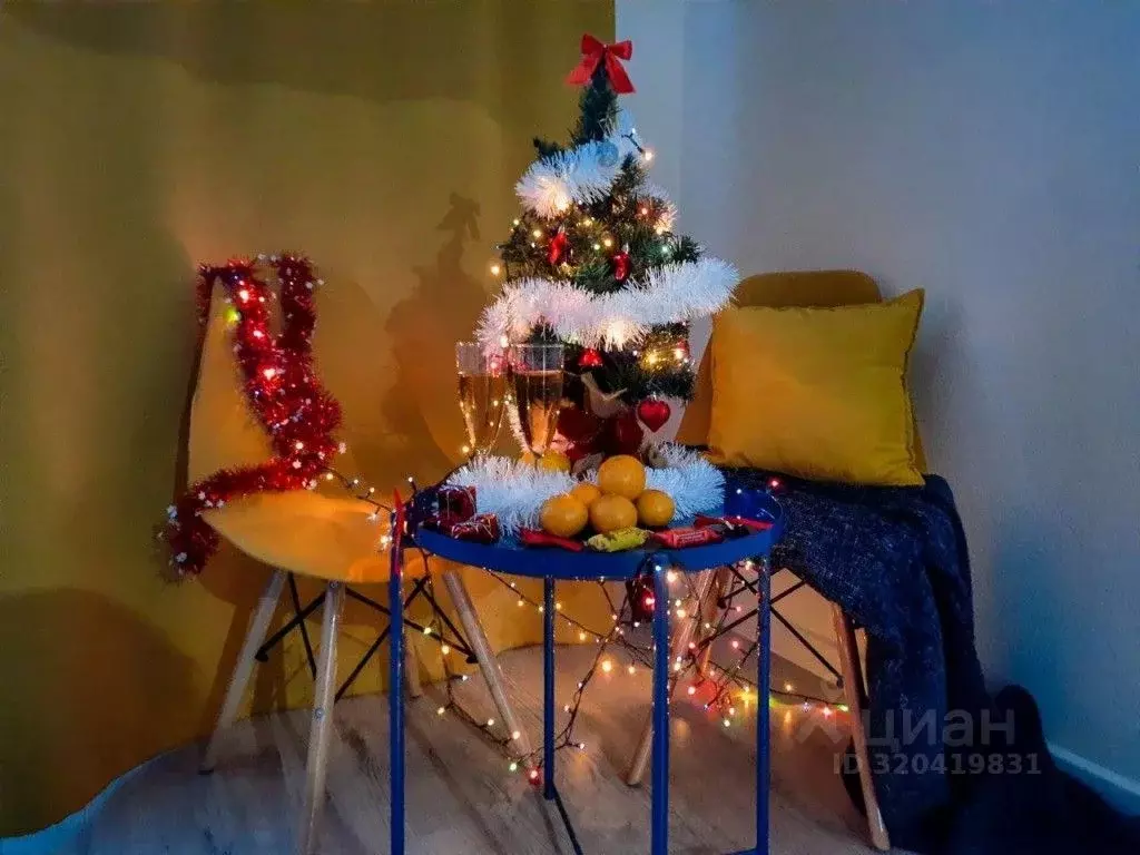 1-к кв. Ленинградская область, Кировск Новая ул., 29 (25.0 м) - Фото 1