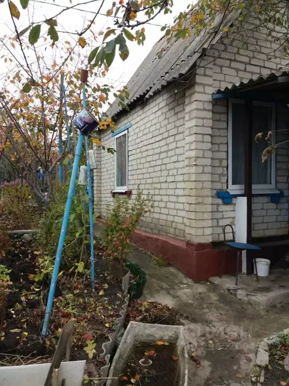 Дом в Белгородская область, Белгородский район, Беломестненское с/пос, ... - Фото 1