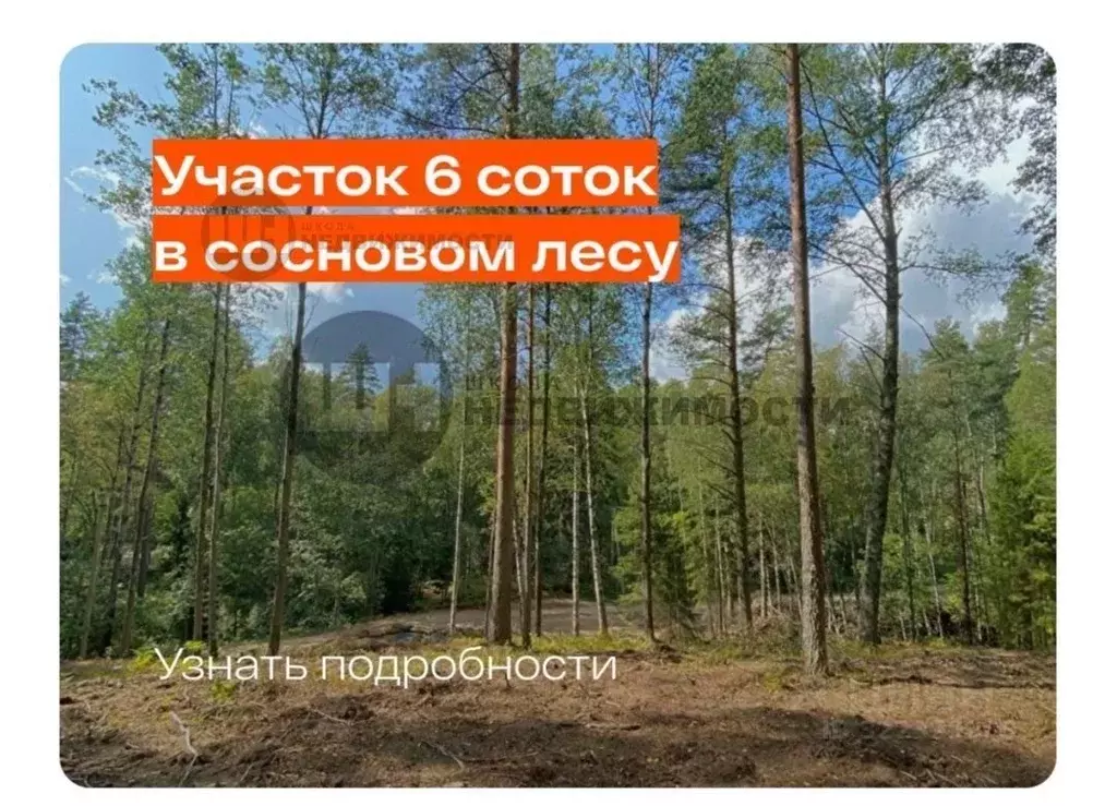 Участок в Ленинградская область, Всеволожский район, Куйвозовское ... - Фото 1