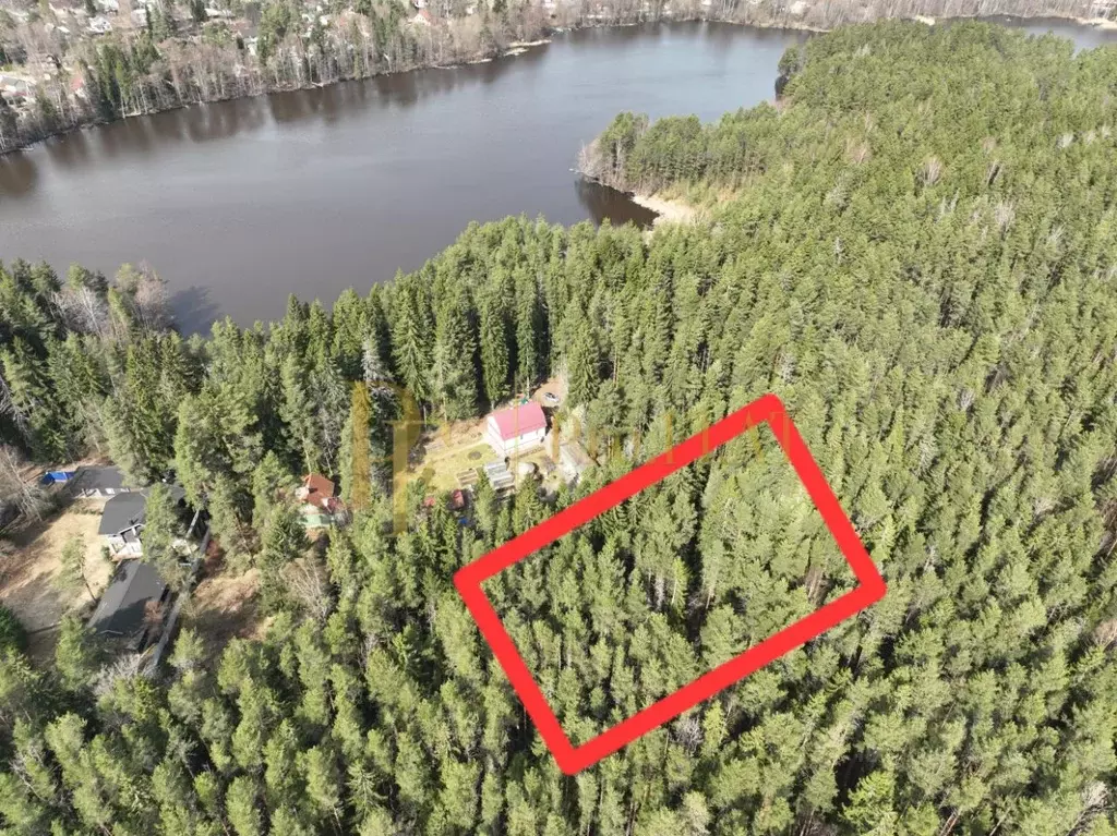 Участок в Ленинградская область, Всеволожский район, Куйвозовское ... - Фото 1