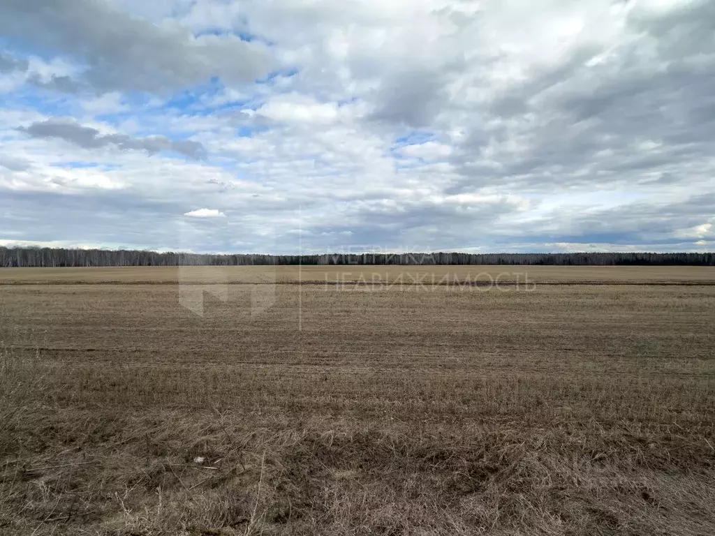 Участок в Тюменская область, Тюменский район, с. Кулига  (6.0 сот.) - Фото 0