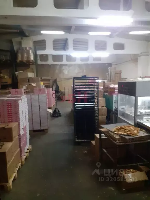 Производственное помещение в Пензенская область, Пенза Индустриальная ... - Фото 2