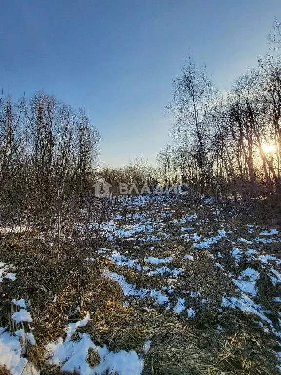 Продается участок в (МЦД-2) Битца метро - Фото 0