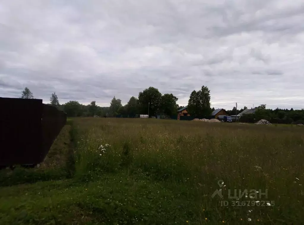 Участок в Вологодская область, пос. Кипелово  (12.8 сот.) - Фото 2