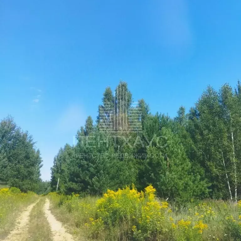 Участок в Владимирская область, Владимир сад Заречье, 83 (10.0 сот.) - Фото 1