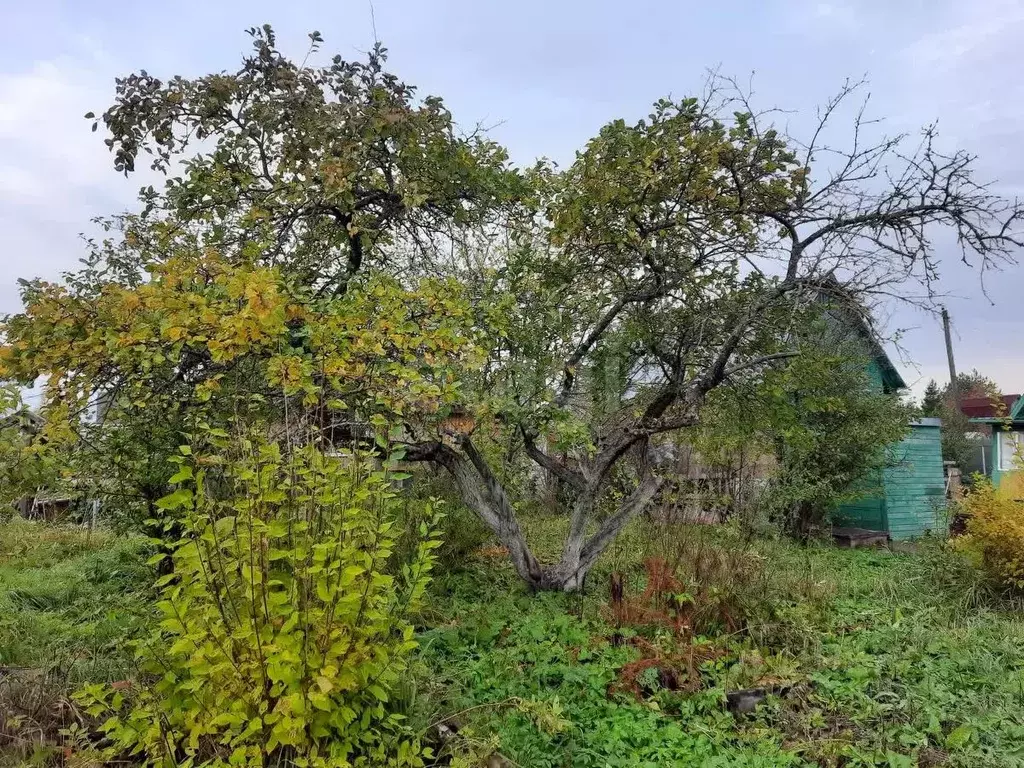 Дом в Вологодская область, Вологда Керамик садоводческое товарищество, ... - Фото 2