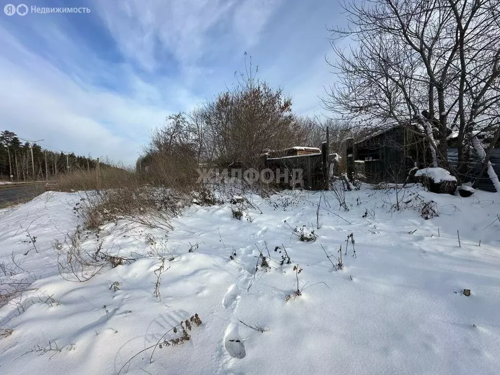 Участок в Новосибирск, Советский район, микрорайон Академгородок, ... - Фото 0