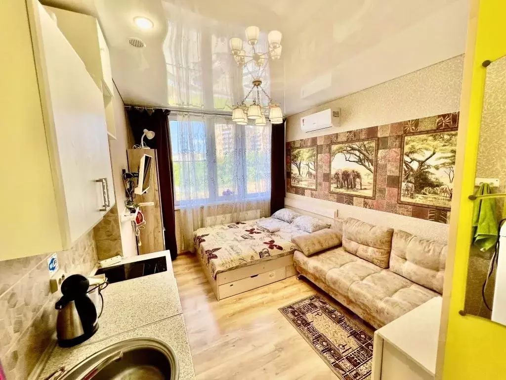 1-к кв. Татарстан, Казань Щербаковский пер., 7 (25.0 м) - Фото 1