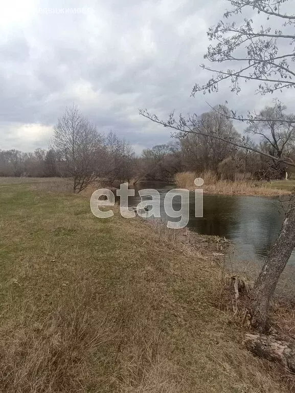 Дом в Шебекино, переулок Нежуры (186.1 м) - Фото 1